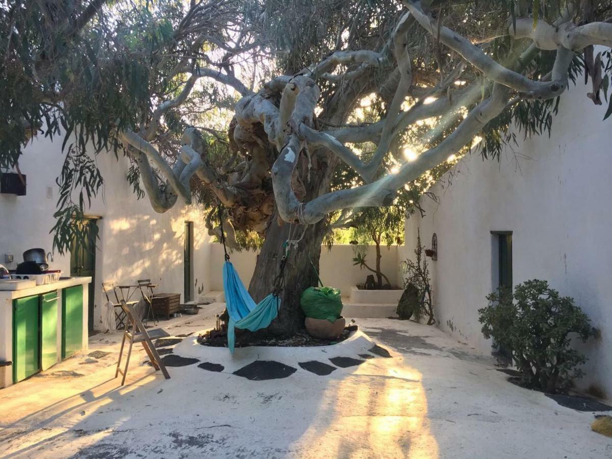 La Asomada  Patio II Studio At Finca المظهر الخارجي الصورة